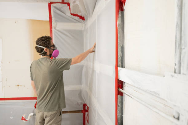 Best Water Damage & Mold Remediation  in Paramount, CA